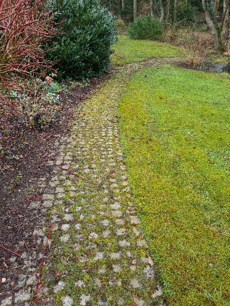 Granitpflaster vor der Steinreinigung Granitpflaster vor der Steineinigung