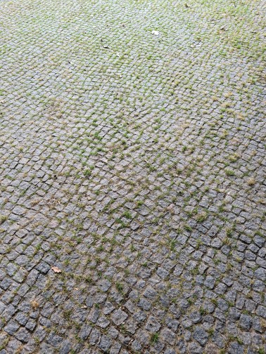 Mosiak kleinpflaster Steine reinigen und Fugenmörtel vorher Mosiak kleinpflaster Steine reinigen und Fugenmörtel vorher
